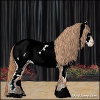 Horse Color:Gold Champagne Near Fewspot 