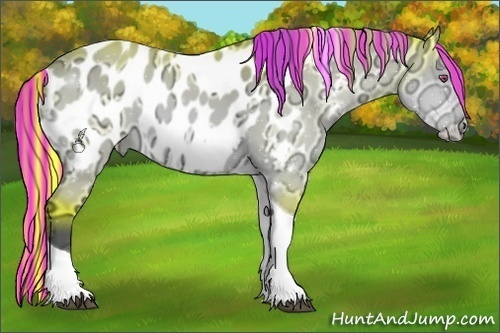 Horse Color:Painted Brown Chinchilla Ice Dun Tobiano Appaloosa 