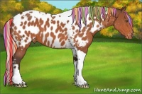 Horse Color:Painted Silver Bay Tobiano Appaloosa