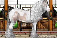 Horse Color:Sable Champagne Ice Mushroom Sabino Splash Tobiano Appaloosa 