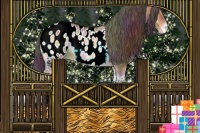 Horse Color:Nacre White Spotted Sable Champagne Onyx Blanket Rabicano 