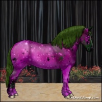 Horse Color:ERROR: UNKNOWN ANOMALY