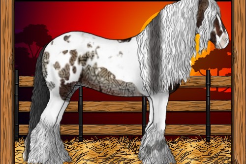 Horse Color:Bay Ice Onyx Sabino Tobiano Appaloosa 