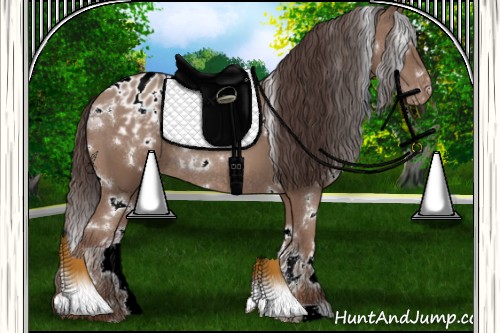 Horse Color:White Spotted Classic Champagne Blanket Rabicano 