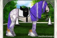Horse Color:Watercolor White Spotted Amber Champagne Ice