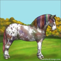 Horse Color:Painted Nacre White Spotted Liver Chestnut Splash Varnish Rabicano 