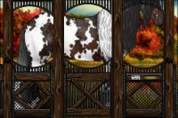 Horse Color:White Spotted Brown Ice 