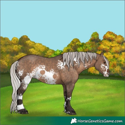 Horse Color:White Spotted Silver Brown Dun