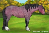 Horse Color:Brown Roan 