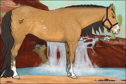 Horse Color:Buckskin Sabino 