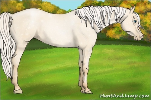 Horse Color:Silver Smoky Grullo Roan Pearl 