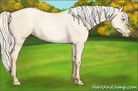 Horse Color:Silver Smoky Grullo Roan Pearl 