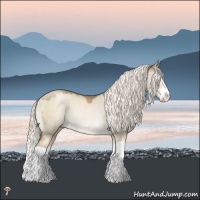 Horse Color:Liver Red Dun Pearl Mushroom Splash Rabicano