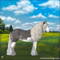Horse Color:Liver Chestnut Ice Mushroom Splash 