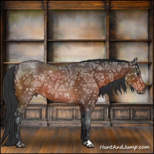 Horse Color:Brown Ice Sabino Rabicano 