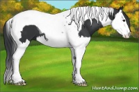 Horse Color:Black Splash Tobiano 