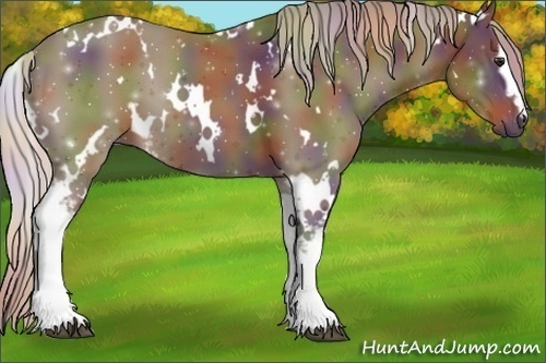 Horse Color:Nacre White Spotted Silver Brown 