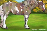 Horse Color:Nacre White Spotted Silver Brown