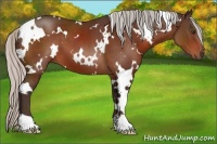 Horse Color:White Spotted Silver Brown