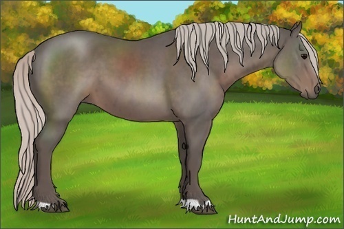 Horse Color:Silver Black 