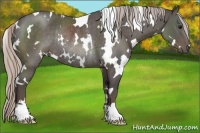 Horse Color:White Spotted Silver Black Rabicano 