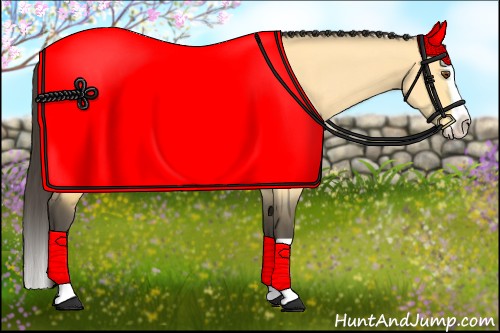 Horse Color:Buckskin Dun Splash 