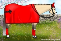 Horse Color:Buckskin Dun Splash