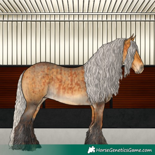 Horse Color:Silver Bay  and Silver Buckskin Roan 