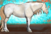 Horse Color:Gold Champagne Roan Dun Splash Tobiano Frame Appaloosa Rabicano