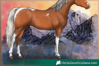 Horse Color:Silver Bay Tobiano Rabicano 