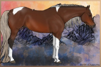 Horse Color:Gray Silver Bay Tobiano