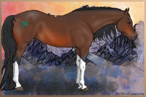 Horse Color:Brown Tobiano 