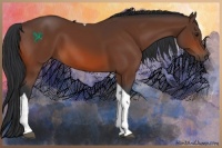 Horse Color:Brown Tobiano