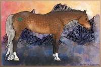 Horse Color:Silver Buckskin 