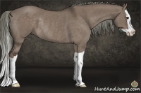 Horse Color:Liver Red Dun Mushroom Splash Rabicano 