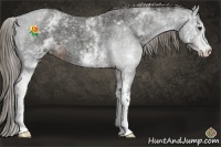 Horse Color:White Spotted Liver Red Roan 