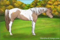 Horse Color:Black Pearl Tobiano 