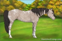 Horse Color:Classic Champagne Ice 