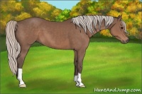 Horse Color:Silver Black 