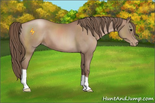 Horse Color:Black Pearl 