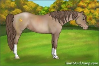 Horse Color:Black Pearl 