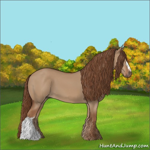 Horse Color:Red Dun 