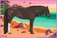 Horse Color:Liver Chestnut 