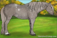 Horse Color:Silver Black Sabino 