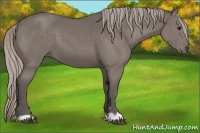 Horse Color:Silver Black 