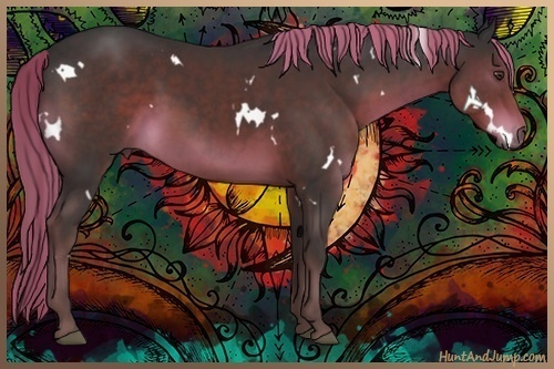 Horse Color:White Spotted Liver Chestnut 