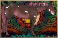 Horse Color:White Spotted Liver Chestnut 