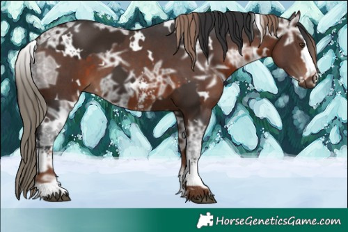 Horse Color:White Spotted Liver Chestnut Ice  and White Spotted Brown Ice Sabino Splash 