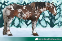 Horse Color:White Spotted Liver Chestnut Ice  and White Spotted Brown Ice Sabino Splash 