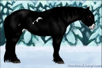 Horse Color:Liver Chestnut Chinchilla Ice 